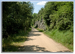 Sant Feliu de Pallerols